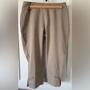 Beautiful Tan Piccadilly Dress Crops